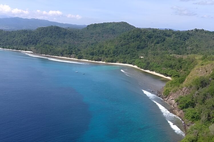 Pulisan Resort bei Dive Tour buchen