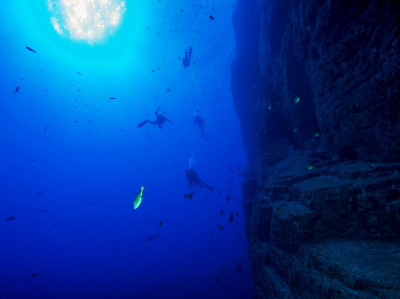 Steilwandtauchen mit Dive Tour erleben