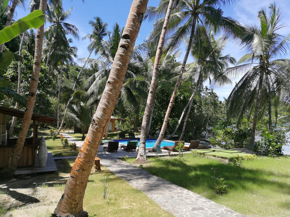 Sali Bay Resort Pool