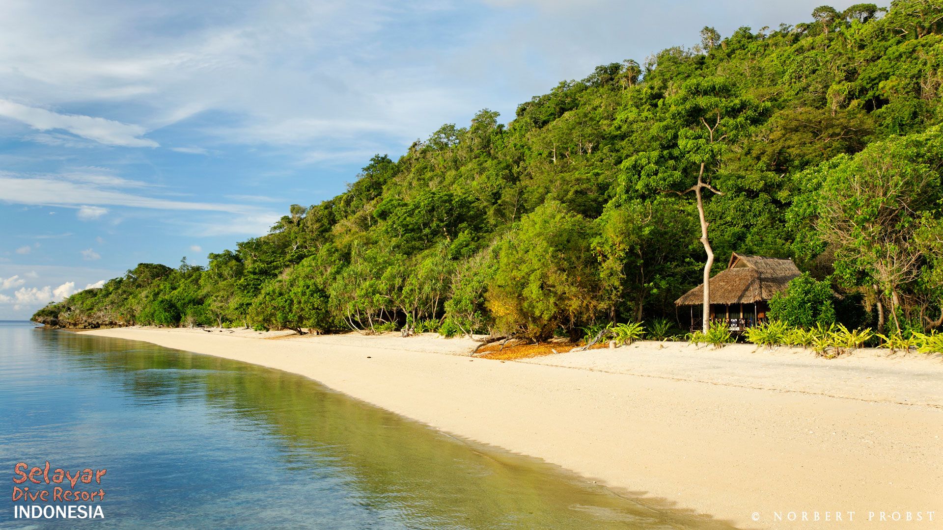 Selayar Dive Resort Strand