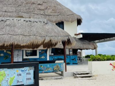 Dressel Divers Paraiso bei Dive Tour buchen