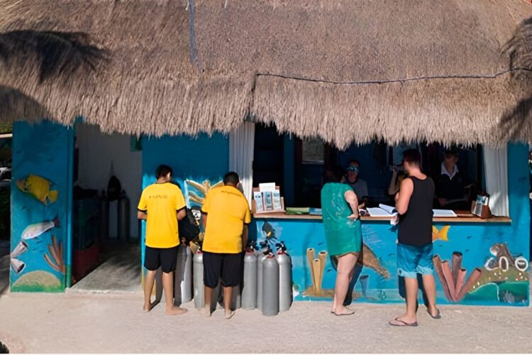 Dressel Divers Playa del Carmen bei Dive Tour buchen