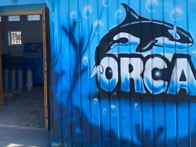 Orca Dive Club Safaga bei Dive Tour buchen