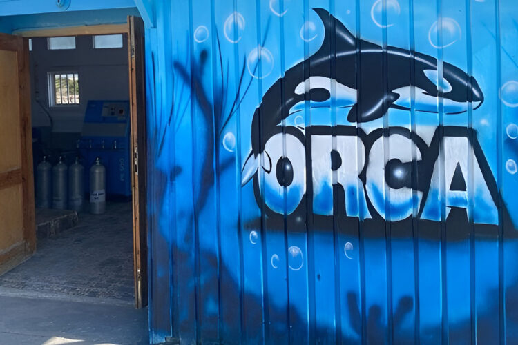 Orca Dive Club Safaga bei Dive Tour buchen