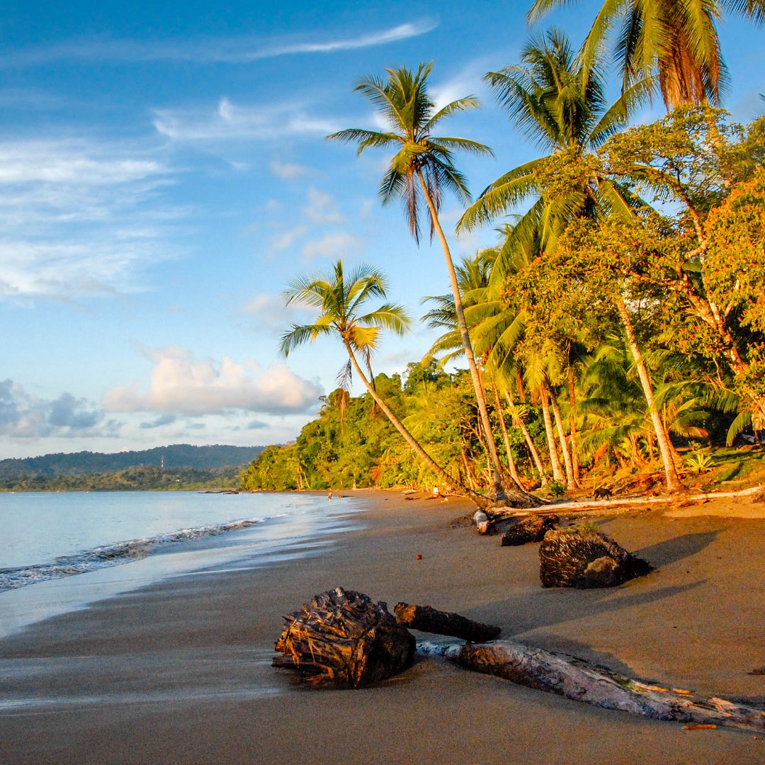 Aguila De Osa Marine & Adventure Lodge Strand