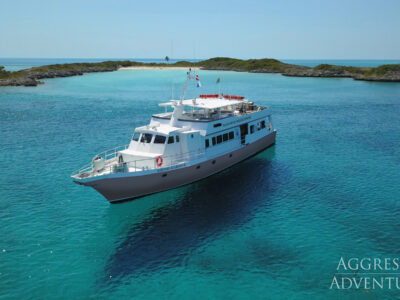 Bahamas Aggressor bei Dive Tour buchen