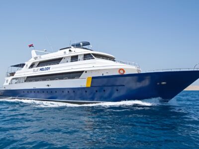 Blue Melody bei Dive Tour buchen