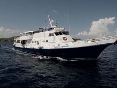 Caribbean Explorer II bei Dive Tour buchen