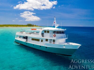 Cayman Aggressor IV bei Dive Tour buchen