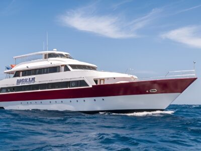 Emperor Elite bei Dive Tour buchen