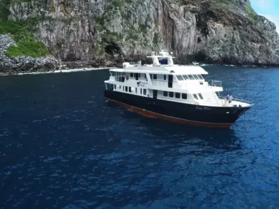 Galapagos Master bei Dive Tour buchen