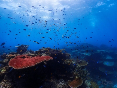 Great Barrier Reef