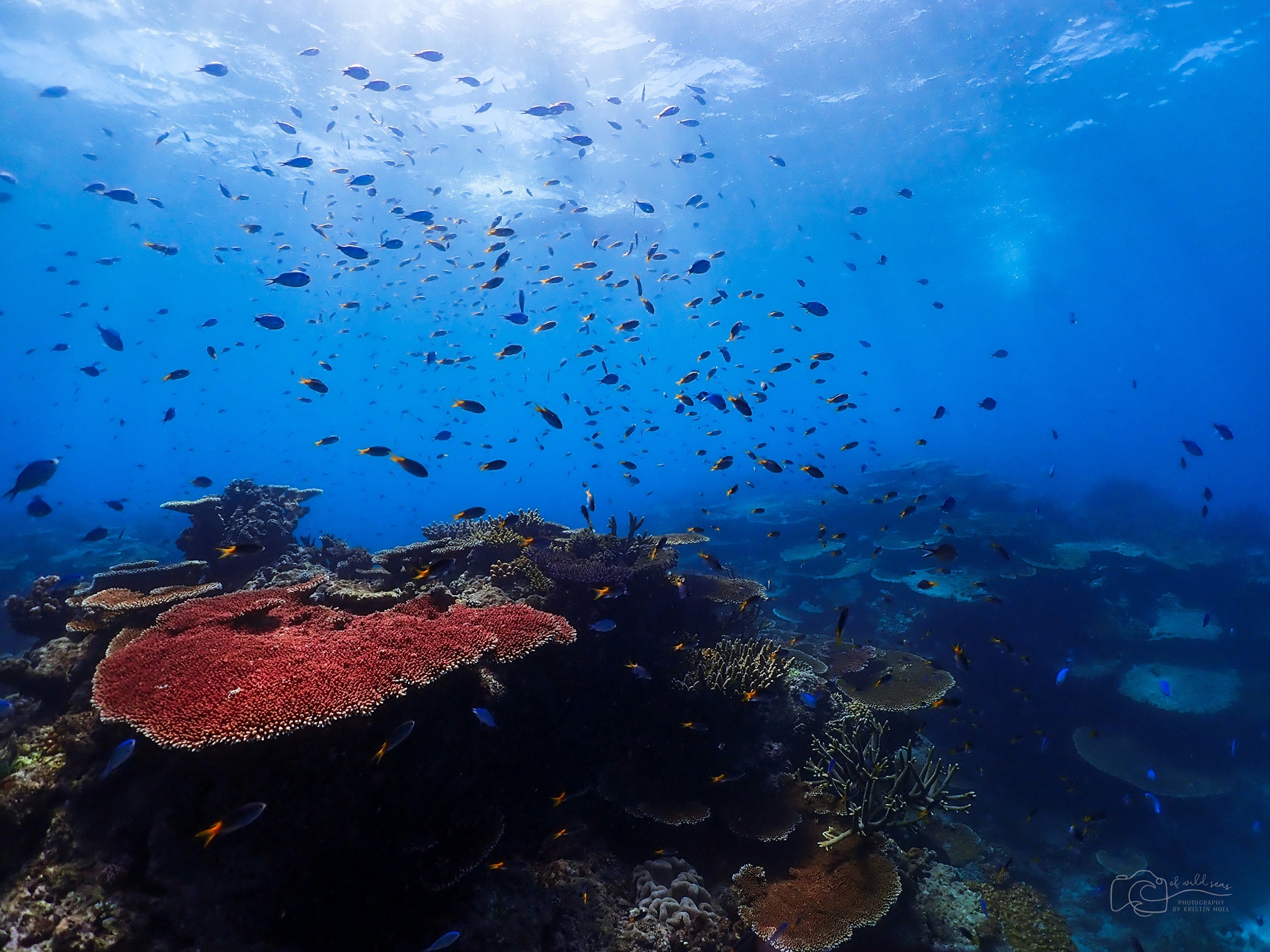 Great Barrier Reef