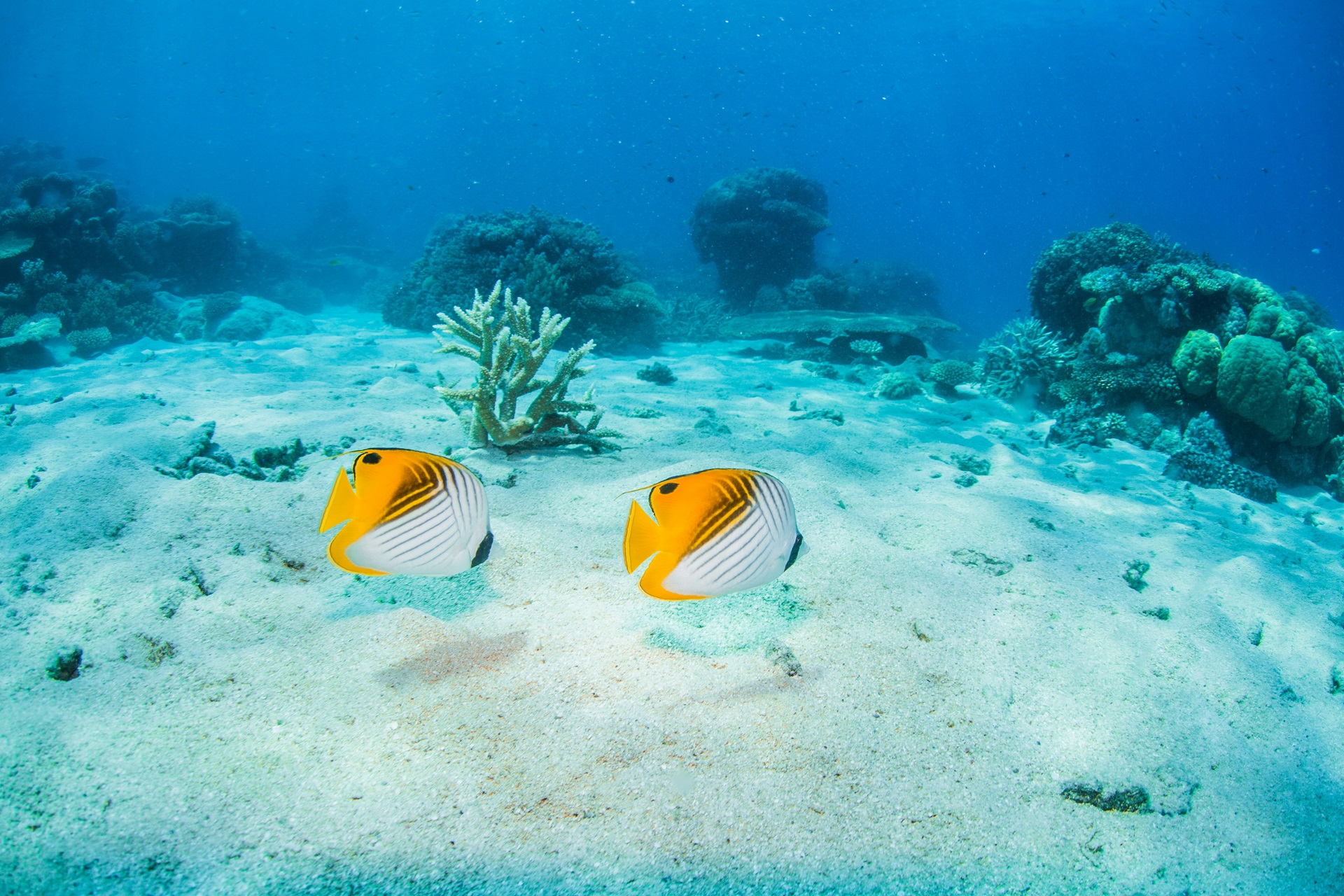 Great Barrier Reef