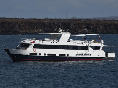 Humboldt Explorer bei Dive Tour buchen