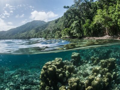 Papua-Neuguinea bei Dive Tour buchen