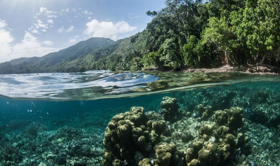 Papua-Neuguinea bei Dive Tour buchen