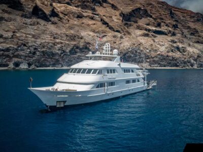 Nautilus Belle Amie bei Dive Tour