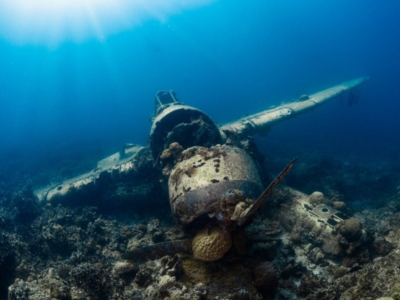 Palau Wrack