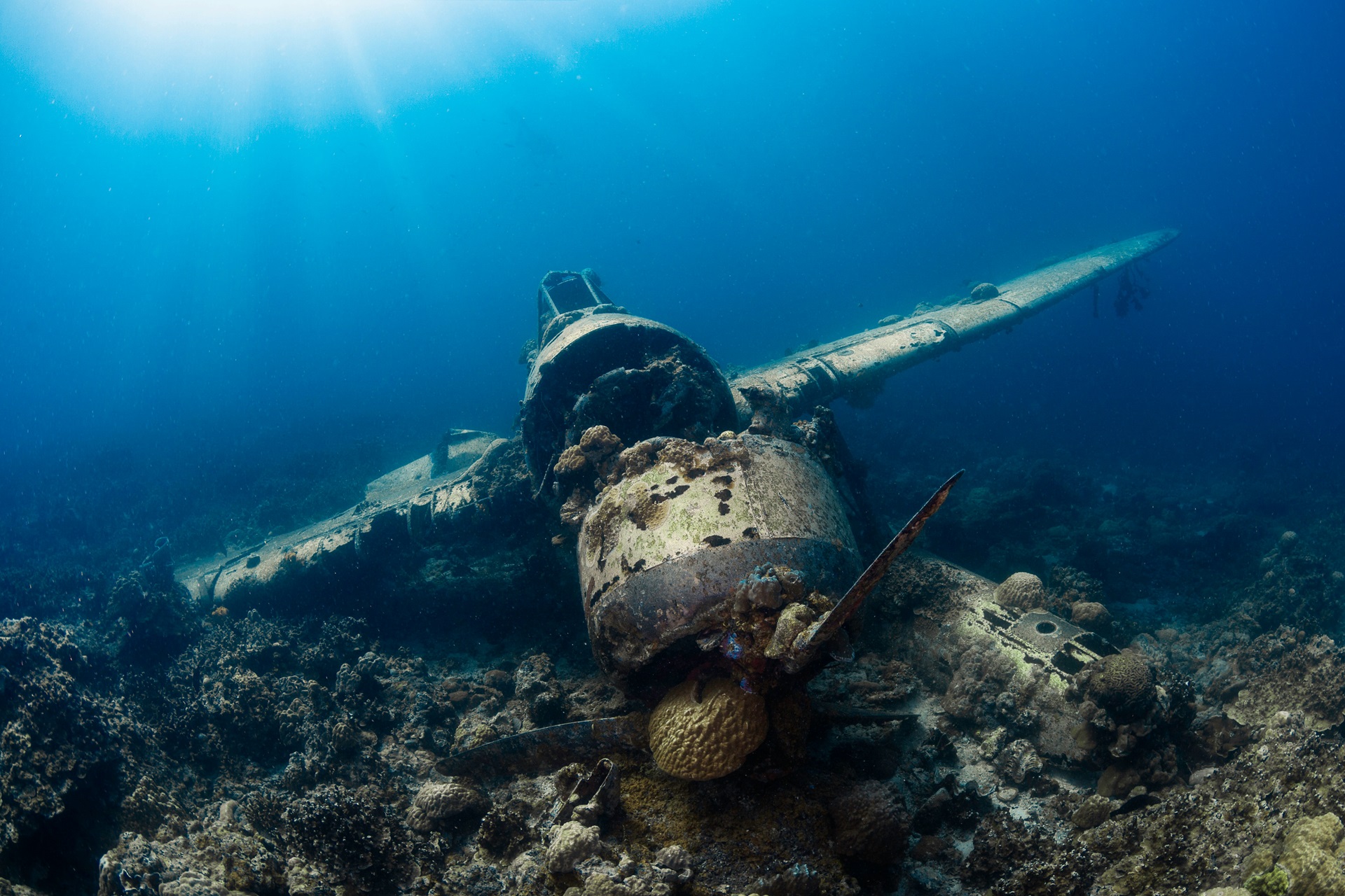 Palau Wrack