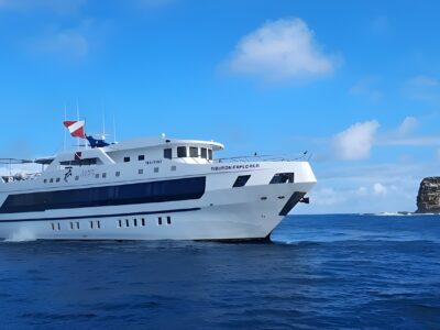 Tiburon Explorer bei Dive Tour buchen