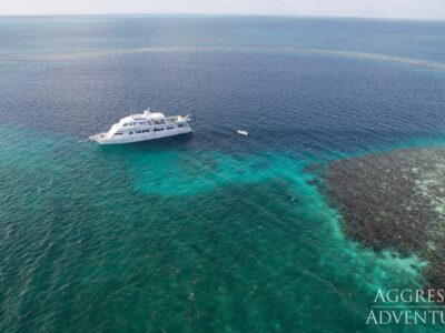 Belize Aggressor III bei Dive Tour buchen