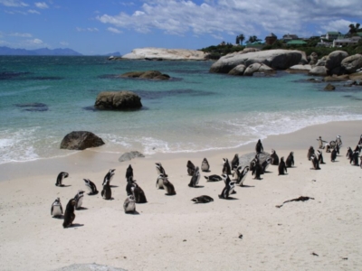 Boulders Beach