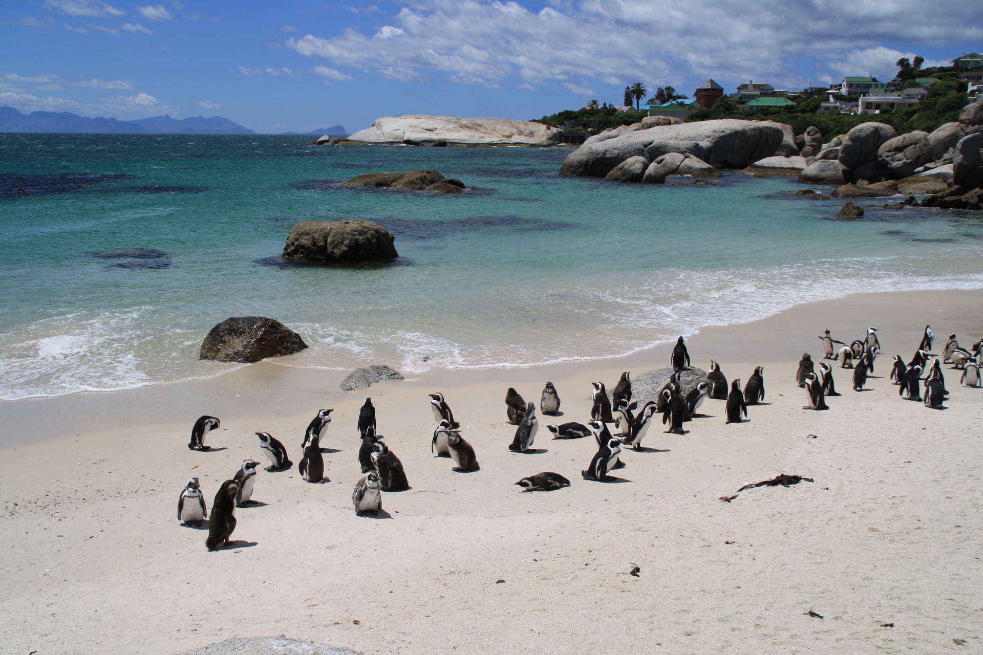 Boulders Beach