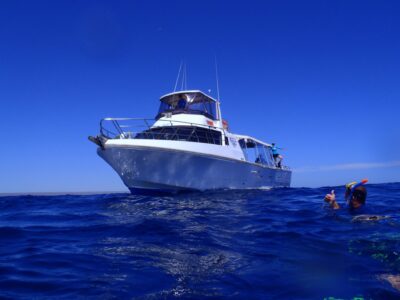 Exmouth Dive bei Dive Tour buchen