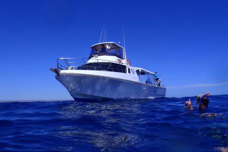 Exmouth Dive bei Dive Tour buchen