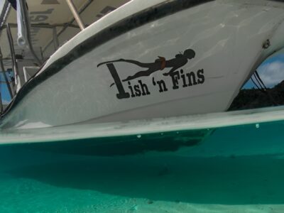 Fisch 'n Fins bei Dive Tour buchen