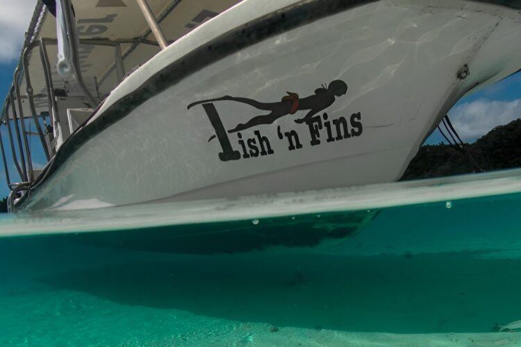 Fisch 'n Fins bei Dive Tour buchen