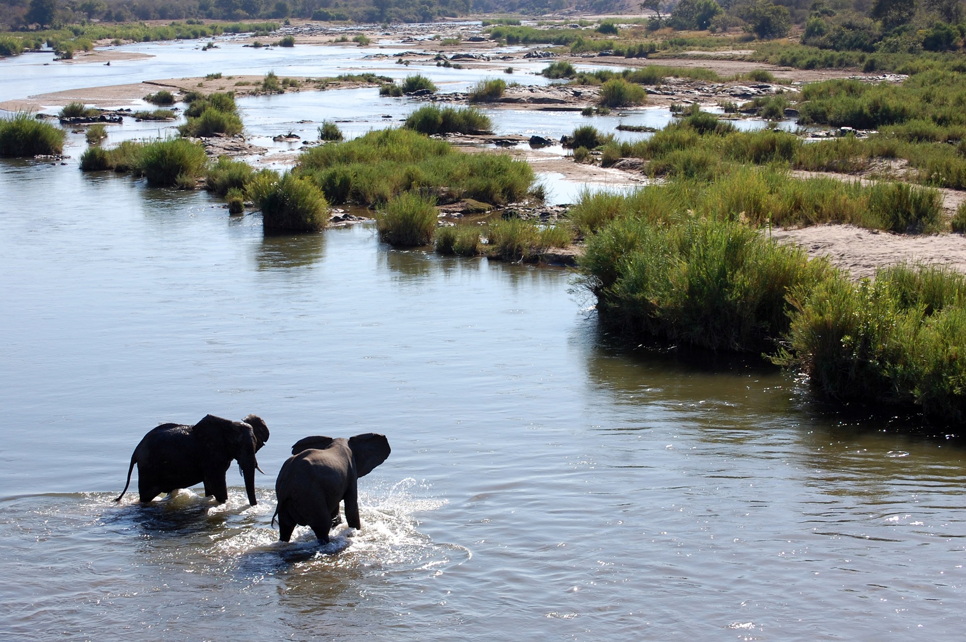 Kruger Nationalpark