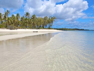 Mafia Island bei Dive Tour buchen