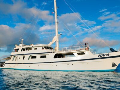 Nai’a Liveaboard bei Dive Tour buchen