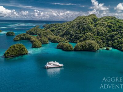 Palau Aggressor II bei Dive Tour buchen