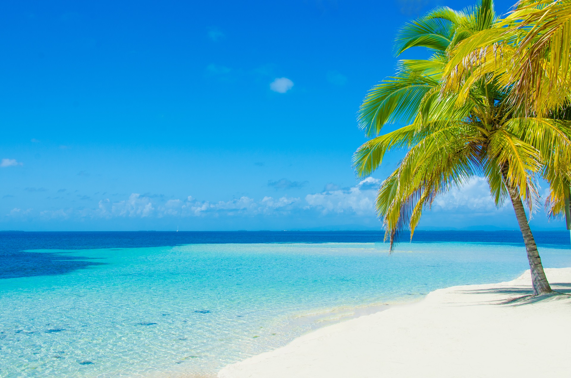 Paradise Islands Belize