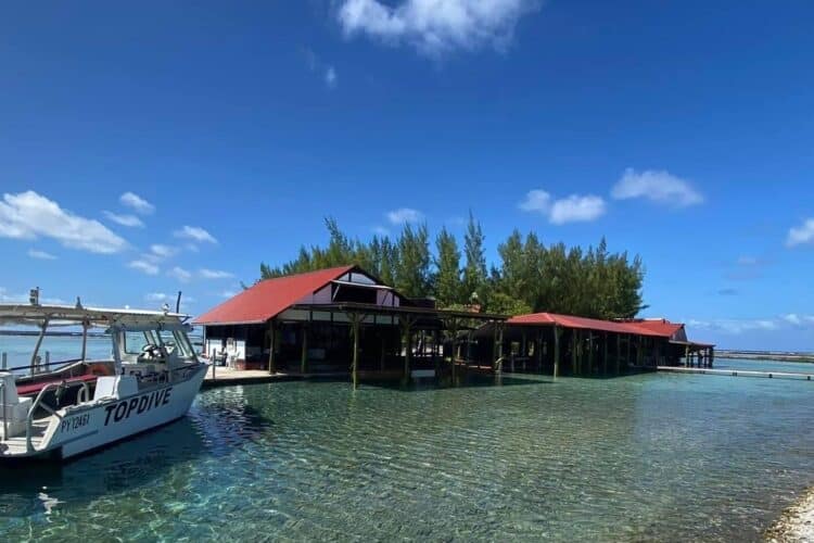 Top Dive Fakarava Süd bei Dive Tour buchen