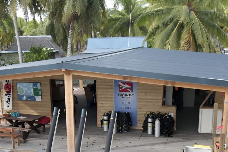 Top Dive Rangiroa bei Dive Tour buchen