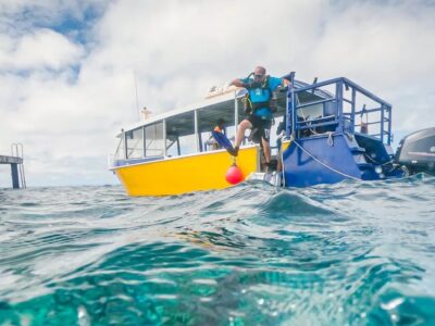 Tufi Dive bei Dive Tour buchen