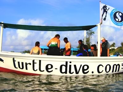 Turtle Dive Watamu bei Dive Tour buchen