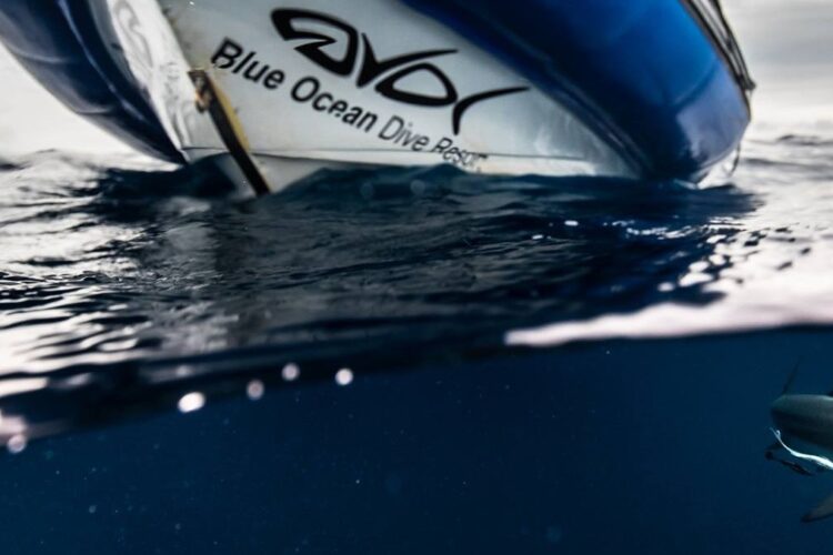 Blue Ocean Dive bei Dive Tour buchen