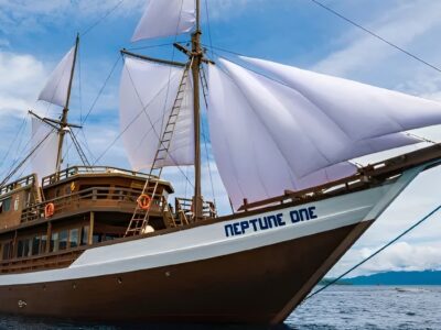 Neptune One bei Dive Tour buchen