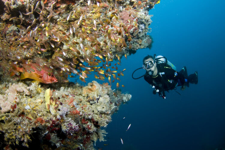 IDive Diamonds Athuruga Rifflandschaft