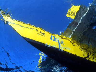 Dive Society Dauin bei Dive Tour buchen