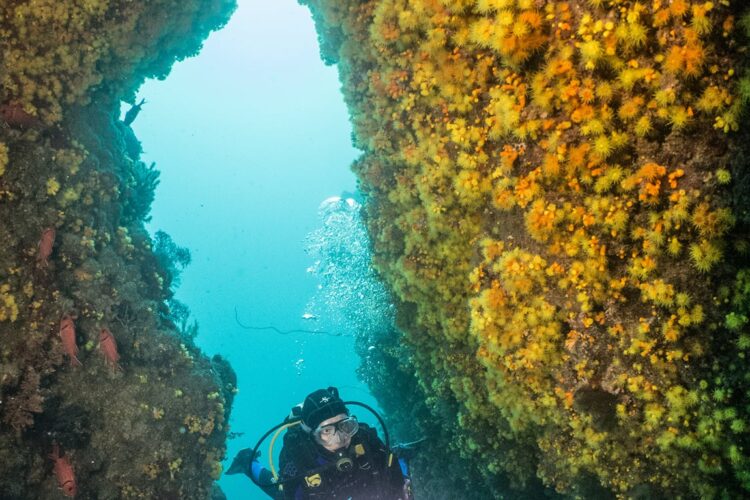 Dive Center Santiago Höhle