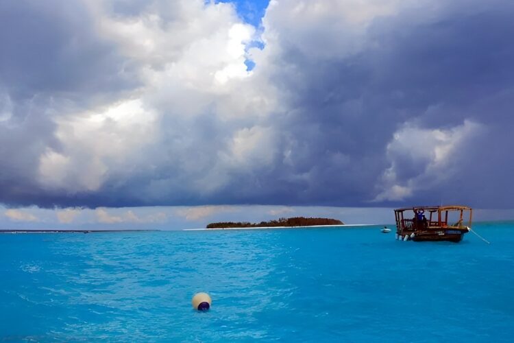 One Ocean Sansibar bei Dive Tour buchen