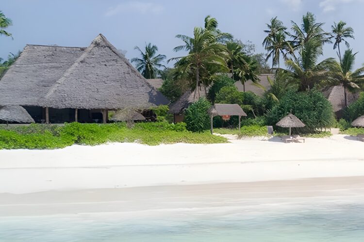 Zanzibar Pearl bei Dive Tour buchen